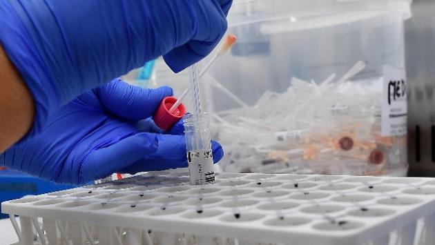 Sviluppato test rapido per la diagnosi delle varianti Covid