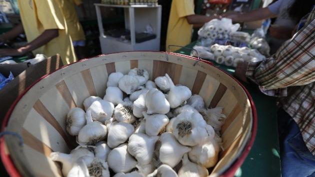 Scambia falso zafferano per aglio, muore avvelenato