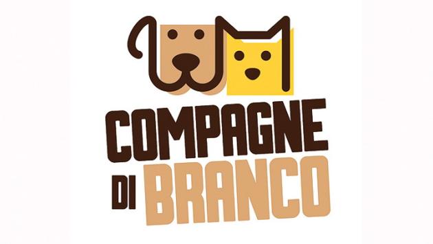 Dispetti o segnali