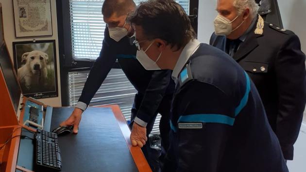Parcheggia nello stallo dei disabili: lite, insulti e guai per un automobilista