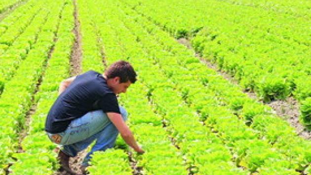 La Fondazione Barilla: "Bene il bio in Europa ma il consumo di acqua è ancora troppo alto"