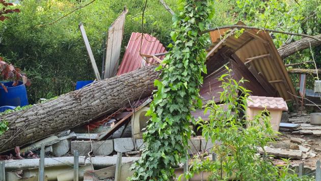 Tragedia sfiorata: pianta si abbatte sui giochi dei bambini