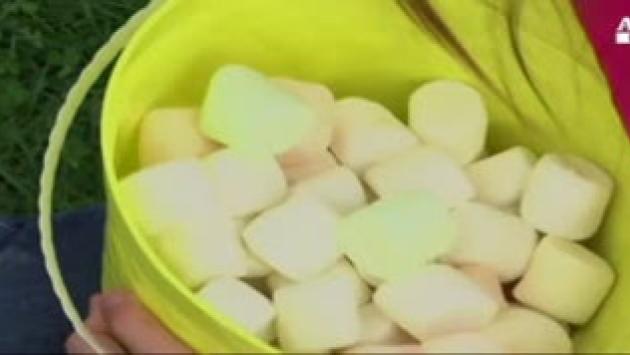 In Michigan piovono marshmallows... Video