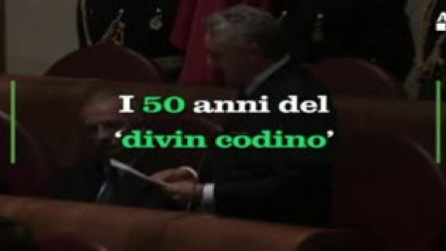 I 50 anni del 'divin codino'