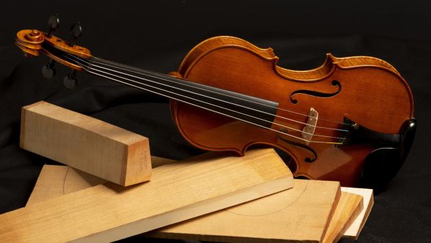 Così nasce un violino