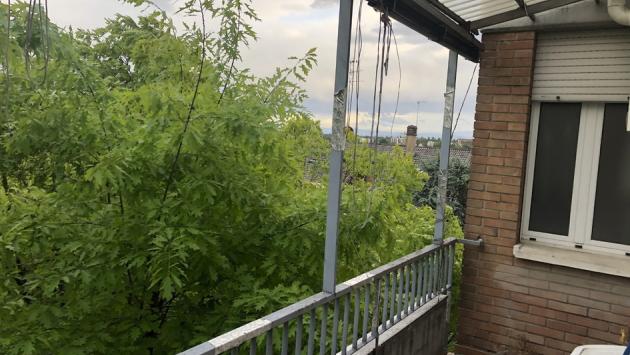 Piazzale Maestri, invasione di rami fino al quinto piano. «Problemi di sicurezza»