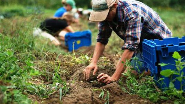 Rinnovato il contratto provinciale degli operai agricoli e florovivaisti