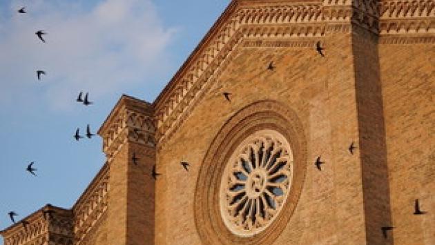Quelle magnifiche «case» dei rondoni