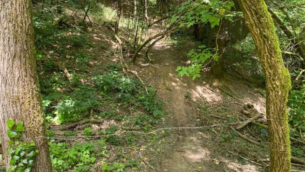 I cavi «ghigliottina» nei Boschi di Carrega: il mistero e le polemiche