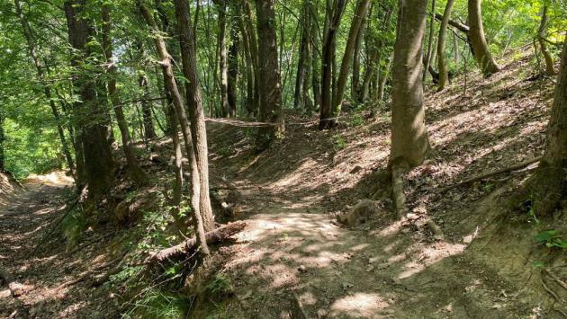 I cavi fra gli alberi nei Boschi di Carrega, ferito un biker: «Un volo terribile, è andata bene»