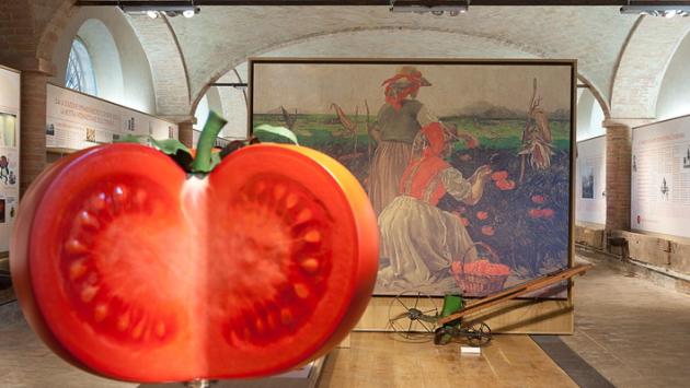 Marini: «Entriamo nella Fondazione Unesco. Presto il Museo del Porcino»