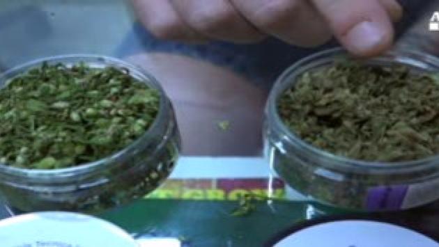 Emendamento del governo  al Dl sicurezza: stop alla cannabis light