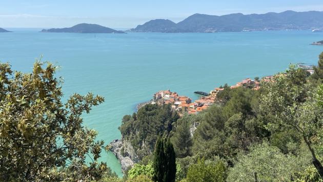 Montemarcello, trovate in un bosco pistole e bombe a mano forse usate per reati 