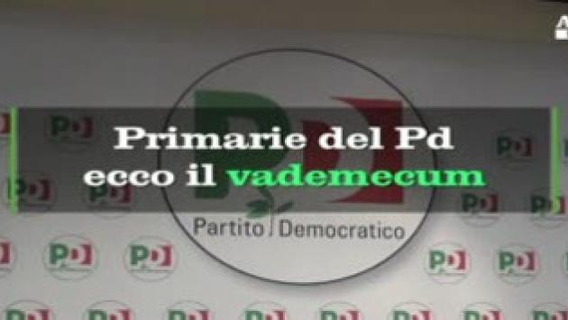 Primarie del Pd: il vademecum Video