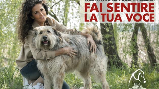 La campagna #faisentirelatuavoce per denunciare chi abbandona gli animali
