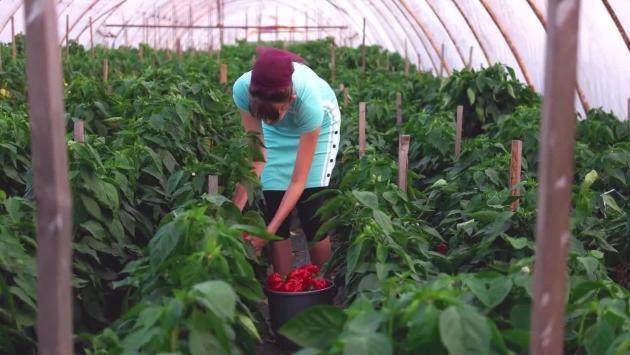 Tavolo Agricoltura del Comune di Parma: tutte le novità per il settore