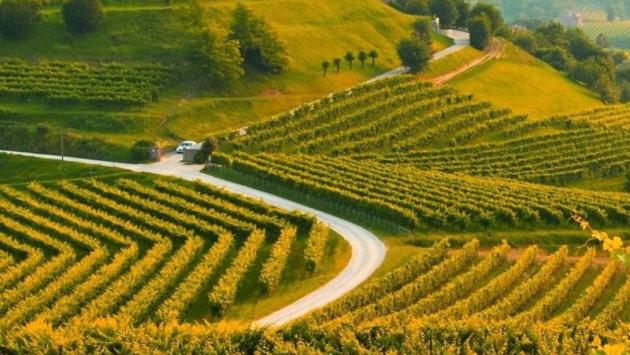 Comunicato Stampa: CRV - Via libera all'istituzione della Giornata per la collina veneta