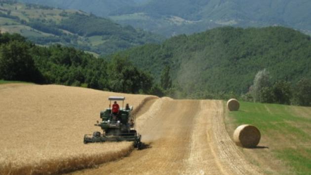 Rinnovato il contratto per quadri e impiegati agricoli: riguarda circa 30mila lavoratori in Italia