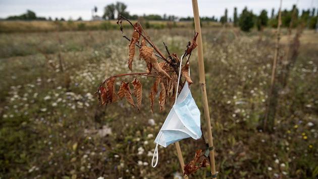 «Il bosco urbano? Solo rami secchi». Scatta la protesta