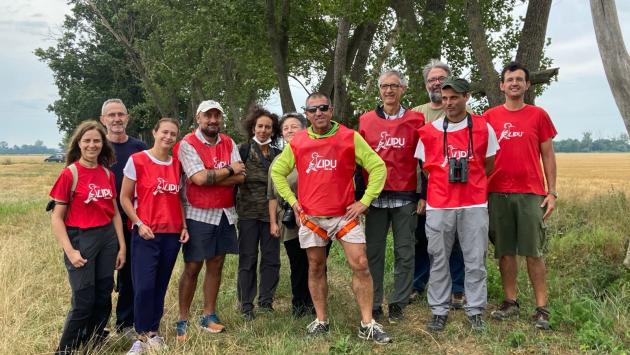 Bassa, falco cuculo al sicuro