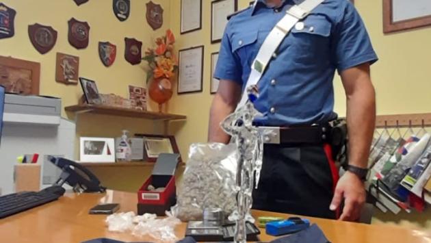 Il cane antidroga Taxi scova la marijuana: arrestato 21enne a Borgotaro