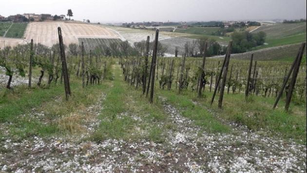 Regione: avviata la ricognizione dei danni provocati dalla grandinata