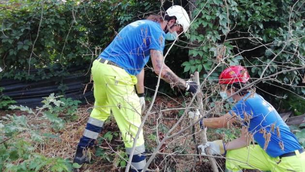 Un esercito di volontari per ripristinare la «Fattoria la Rebecca»