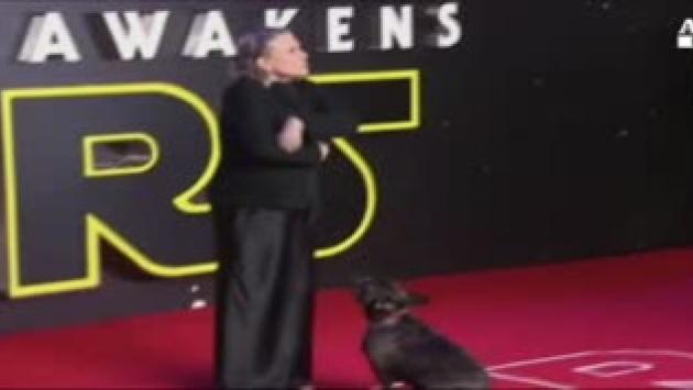 Addio Carrie Fisher, principessa Leila