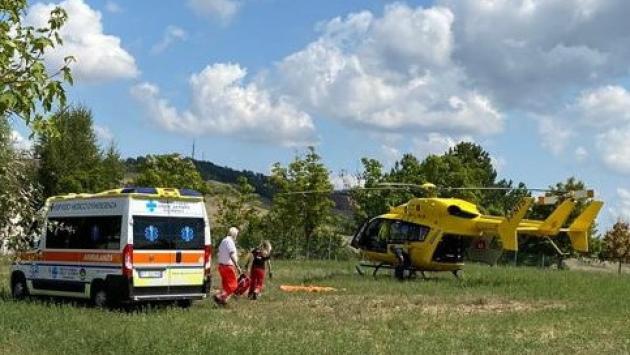 Punto da una vespa va in shock anafilattico, salvato dai soccorsi