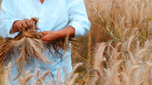La rivoluzione green? Incomincia dalla pasta. Domani tavola rotonda