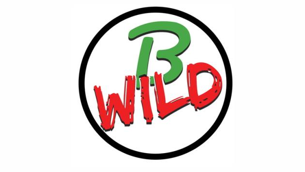 B-Wild