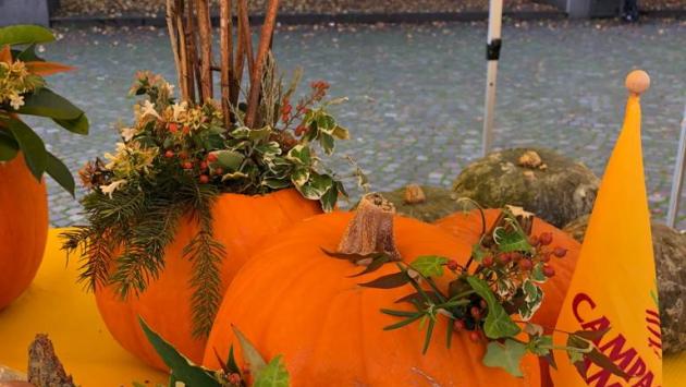Mercato Campagna Amica di Barriera Repubblica: arriva la zucca solidale