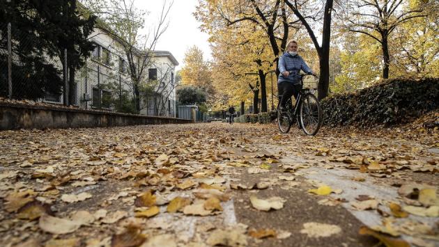 Ciclabile coperta di foglie: donna all'ospedale