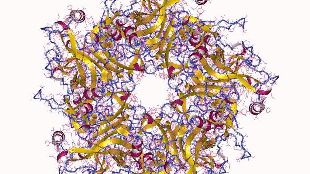 Con il vaccino anti-papillomavirus -87% di casi di tumore al collo dell'utero