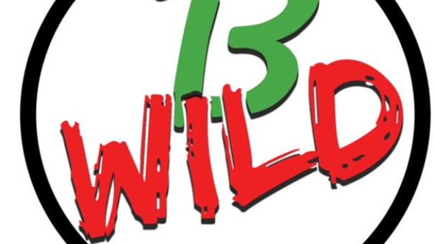 B-Wild