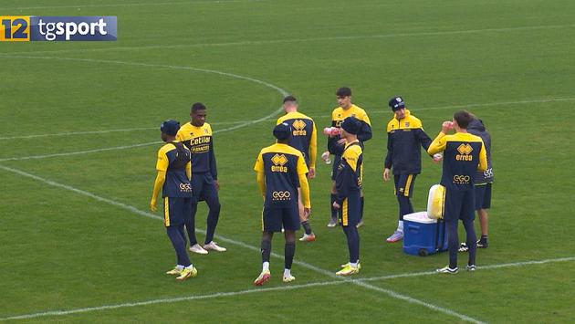 Cosenza - Parma, in dubbio Vasquez, Mihaila, Benek e Schiattarella - Video