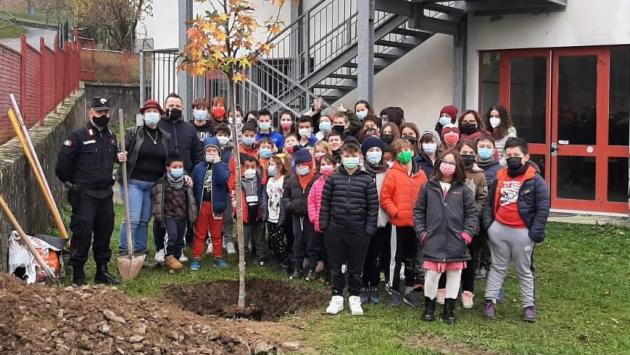 I carabinieri forestali e gli studenti di  11 scuole della provincia mettono a dimora giovani piantine