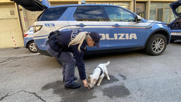 Sequestrati 4 kg di marijuana nascosti in una cabina elettrica in via Boraschi