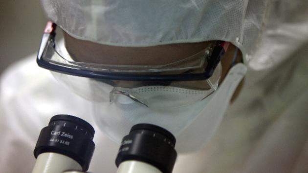 Variante omicron, primissimi dati: sintomi lievi e diversi, sempre rischi per i fragili