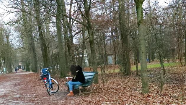 Parma in inverno: il Parco Ducale semideserto