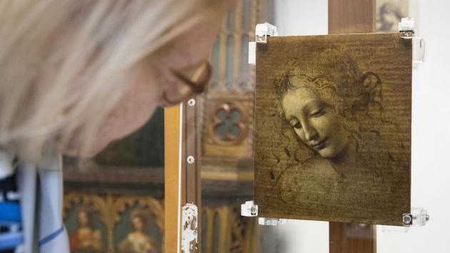 Leonardo, 500 anni dopo: le mostre che lo celebrano nel Belpaese (Parma compresa)