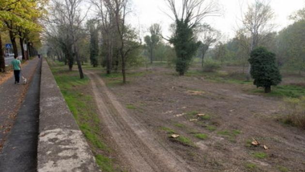Tagliati gli alberi sul Lungoparma, protestano i residenti