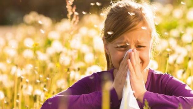 Dodici milioni di italiani starnutiscono e il trend di chi soffre di allergie allarma
