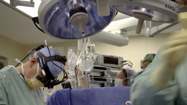 Torna domani (14 aprile) la Giornata nazionale per la donazione di organi e tessuti. In Emilia Romagna 2023 record: 585 trapianti
