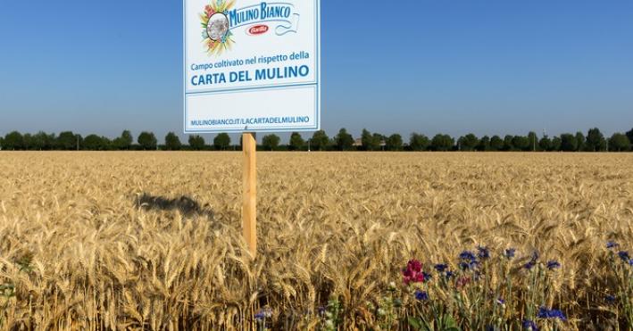 Mulino Bianco, arriva il nuovo Buongrano: piacere del gusto e attenzione per la terra