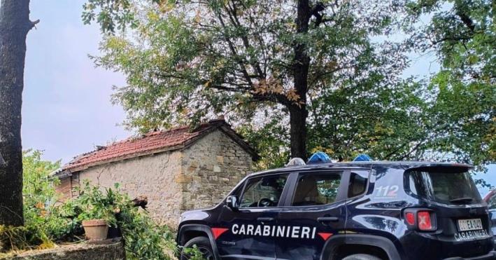 Solignano, 64enne precipita mentre taglia un albero e muore sul colpo