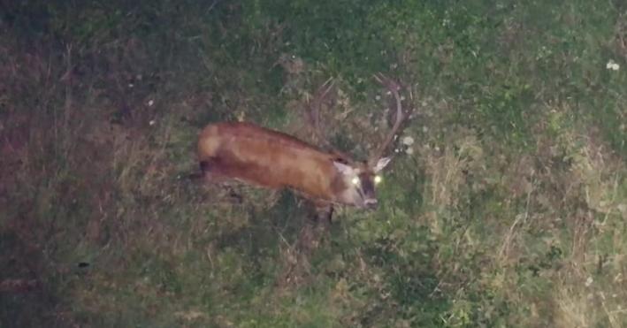 Il Cuore selvaggio dell'Appennino Parmense