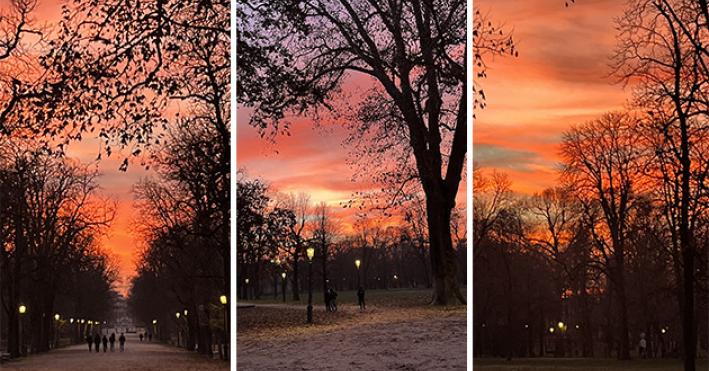 Foto tramonto al Parco Ducale di Parma di Sabato 10 Gennaio 2026