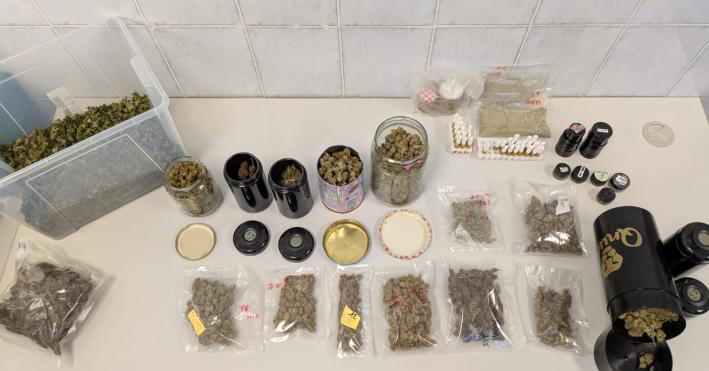 Fiori, piante e...marijuana: smantellato a Colorno il "laboratorio della droga" di un vivaista