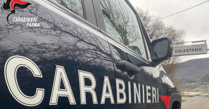 Calestano: bonifici istantanei e finti documenti veterinari - scoperta la "truffa dei cuccioli fantasma". Due persone denunciate